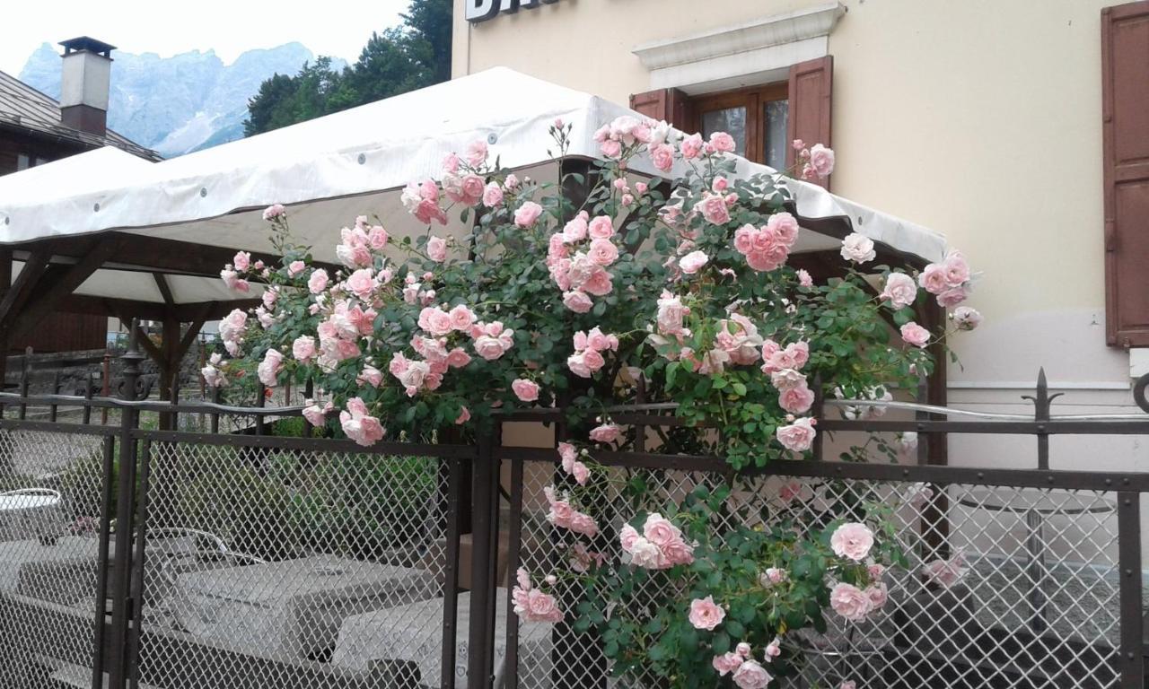Hotel Brustolon Dont Dış mekan fotoğraf