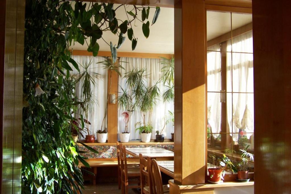 Hotel Brustolon Dont Dış mekan fotoğraf